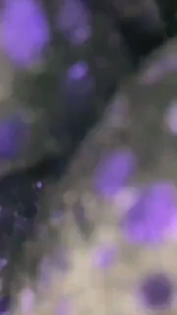 African Headwrap | Elegant Gele Style Head Tie for Weddings & Special Events